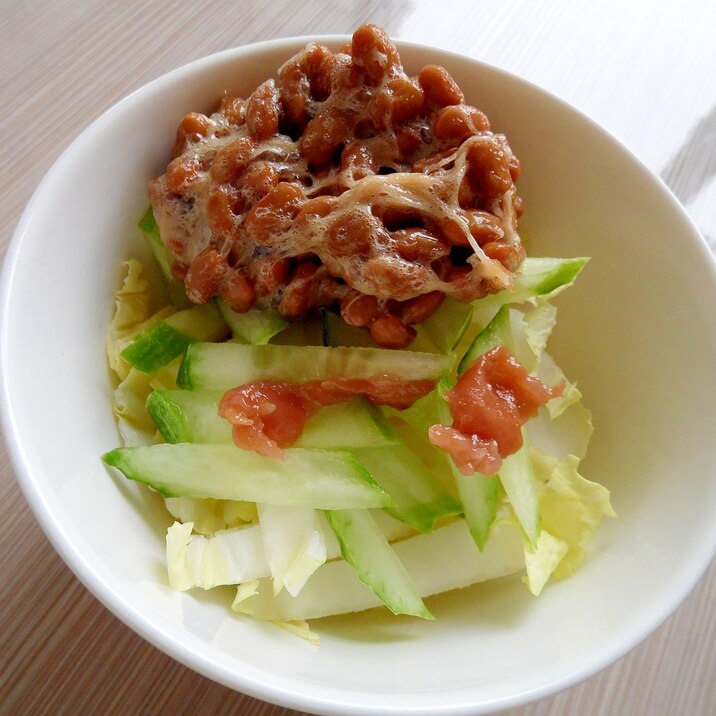生野菜 納豆サラダ